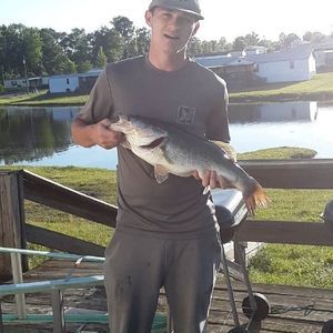 Meet your Posher, Devin